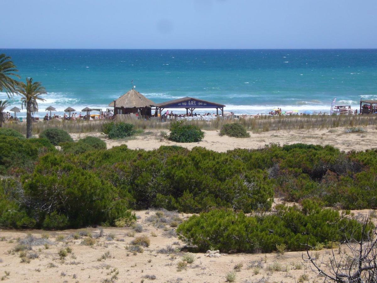 Descansa Y Disfruta De Las Mejores Playas Arenales del Sol Bagian luar foto