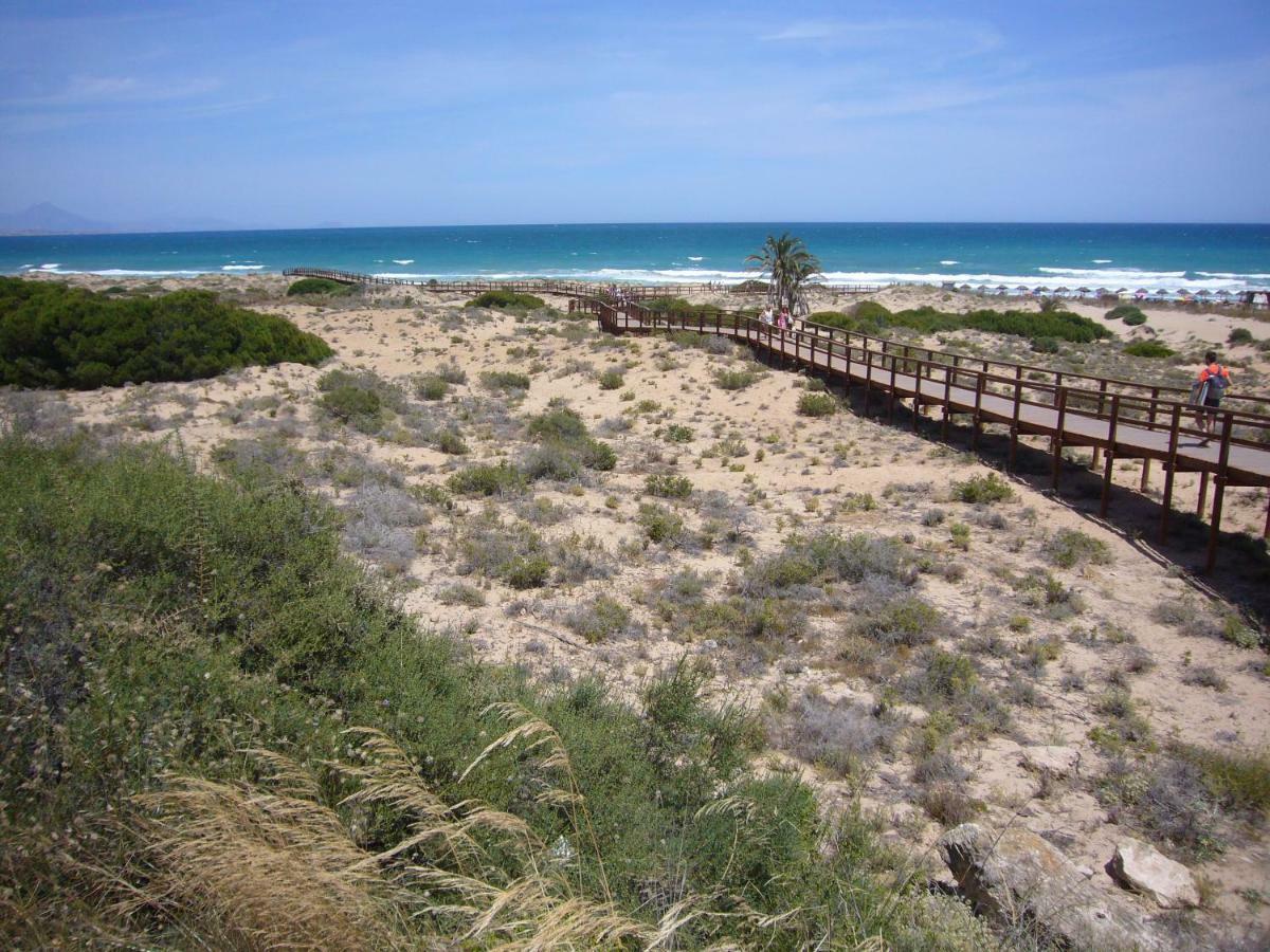 Descansa Y Disfruta De Las Mejores Playas Arenales del Sol Bagian luar foto